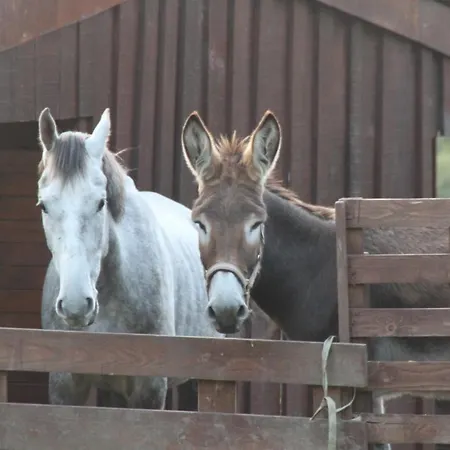 A Ecogranxa 2* Pontevedra