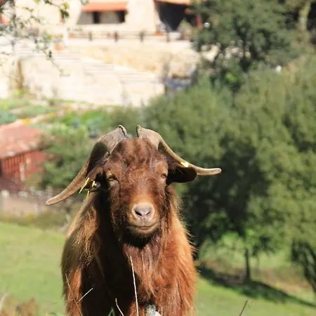 A Ecogranxa Hotel Pontevedra