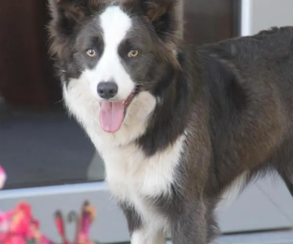 ホテル A Ecogranxa ポンテベドラ