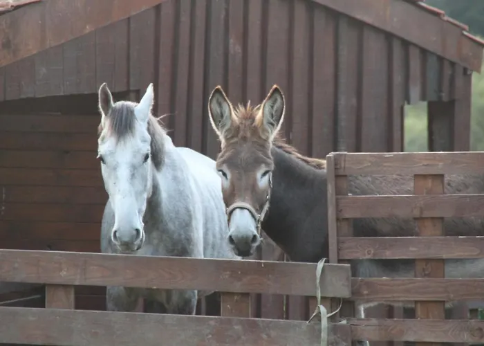 A Ecogranxa 2* ポンテベドラ